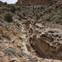 Navajo Canyon Narrows