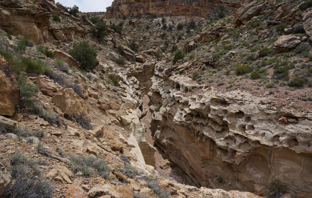 Navajo Narrows