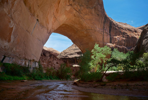 Jacob Hamblin Arch (aka Lobo Arch)