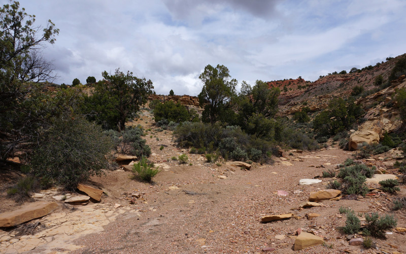 road leaving Navajo near Surprise Valley