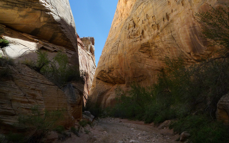narrow canyon