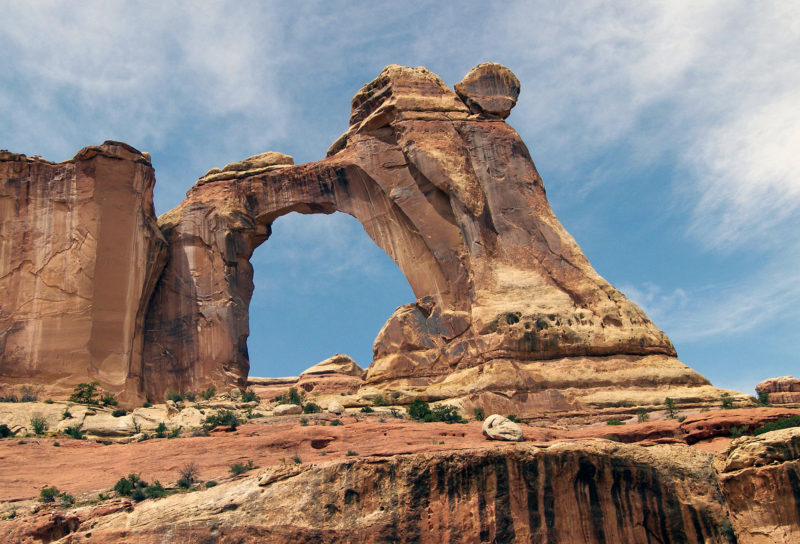 Salt Creek Canyon Across Utah!